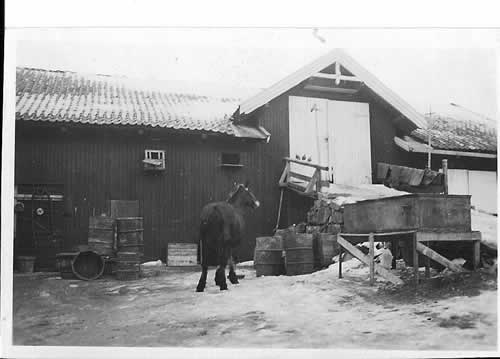 Hesten "Brann" ved låven på Bakkehavn gård ca. 1938. Driftsbygningen brant ned i 1955 og ble ikke bygget opp igjen.