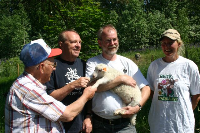 saueslipp2008