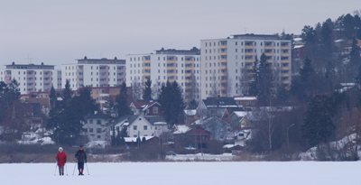 Skilpere p isen, foto: Audun Brekke Skrindo