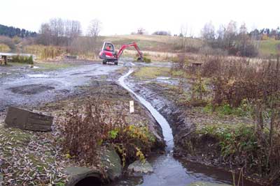 Grfting ved stensjvannet, seinhsten 2004